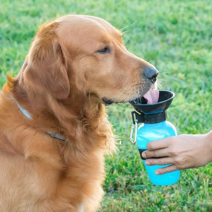Botella Portátil de Agua para Perros y Gatos