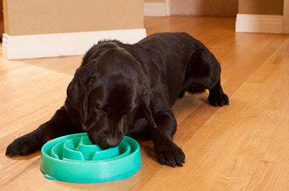 Comedero Anti-Ansiedad para Perros (450 ml)